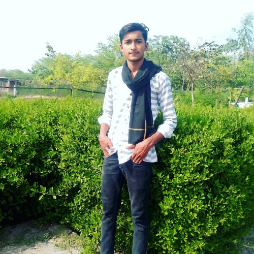 Ayush Y. profile photo