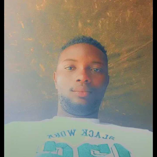 Damilola B.