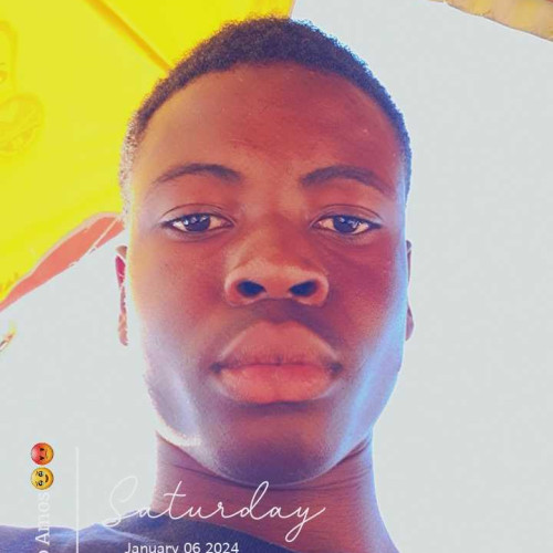 mordecai a. profile photo