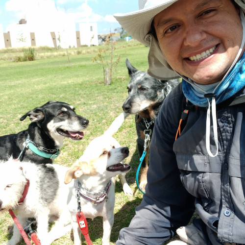 AlexDogWalker T. profile photo