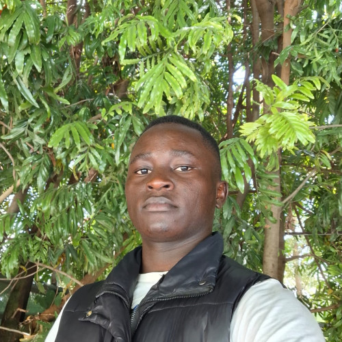 David O. profile photo