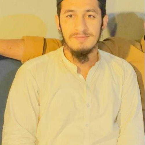 Hamza S. profile photo