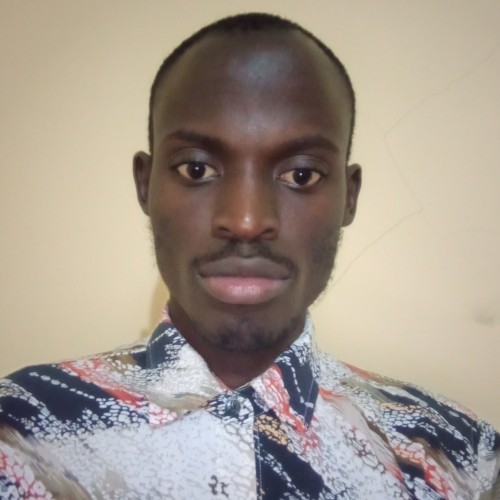 Ogutu D.