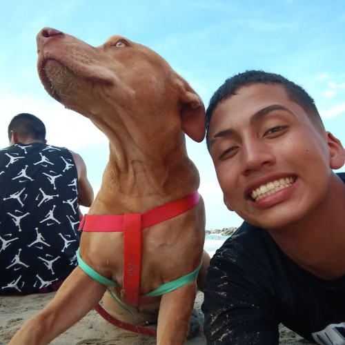 Luis C. profile photo