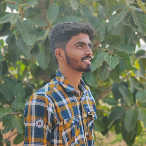 Lokesh P. profile photo