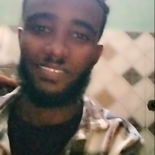 Dawit D. profile photo