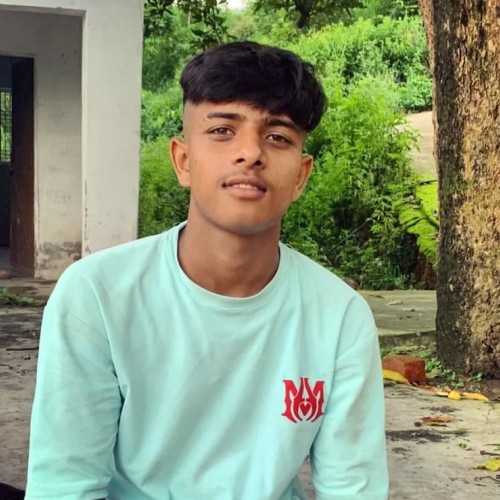 Vinay K.