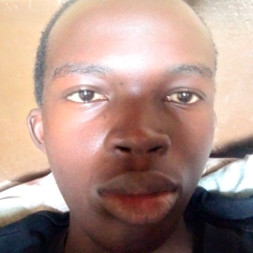 Vincent  H. profile photo
