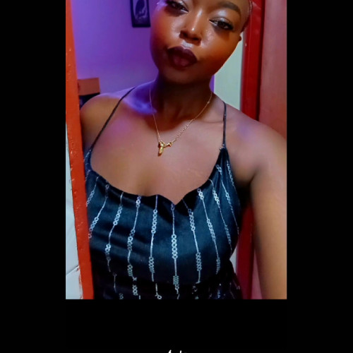 Mitchel  M. profile photo