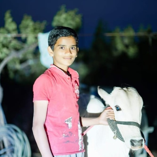 Yash M. profile photo