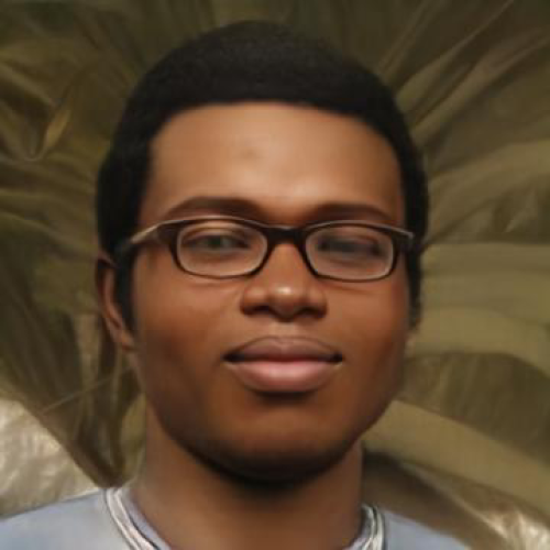 Olaoluwa J.