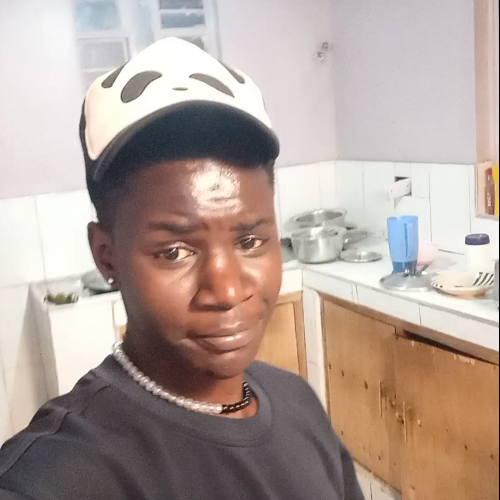 collins n. profile photo