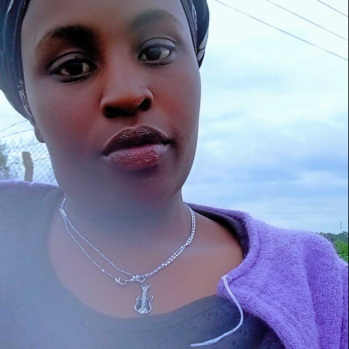 shee p. profile photo