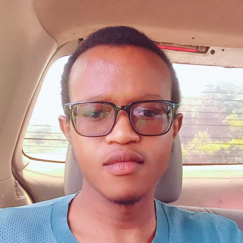 Brinsley l. profile photo