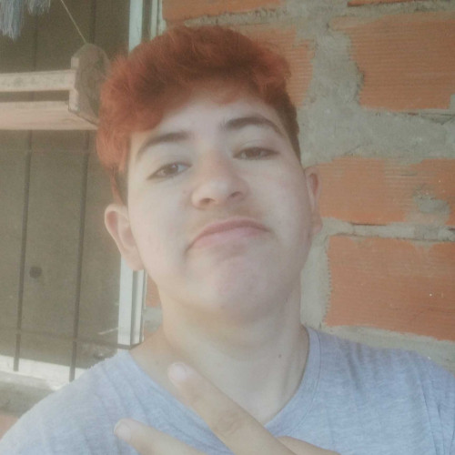 Bruno B. profile photo