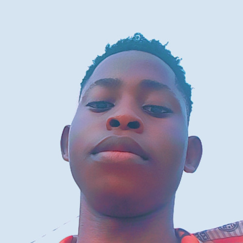 David G. profile photo