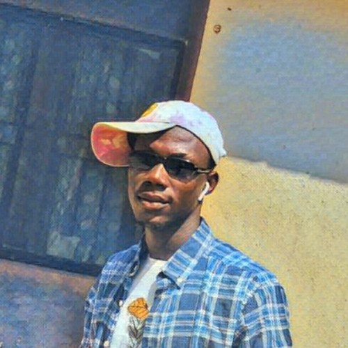 Oluwashina O.