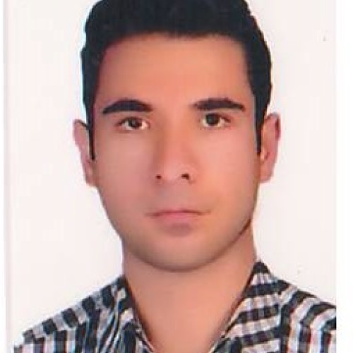 MOJTABA Z.