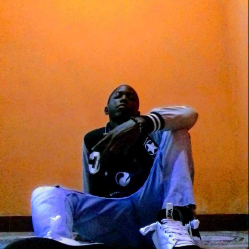 Devis M. profile photo