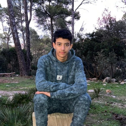 alae c. profile photo