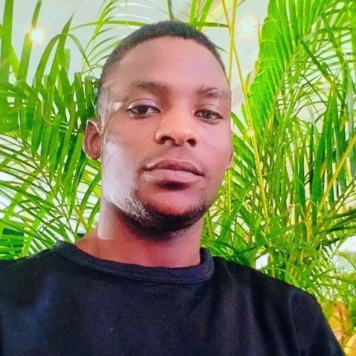 FIDELIS  S. profile photo