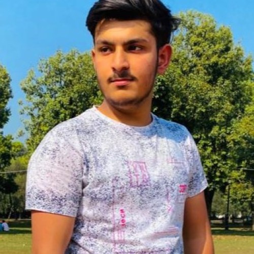 Anubhav S.