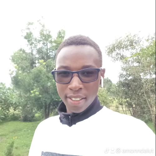 Amon  N. profile photo