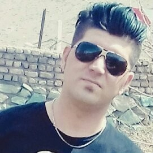 Mostafa M. profile photo