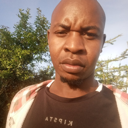 Levis M. profile photo