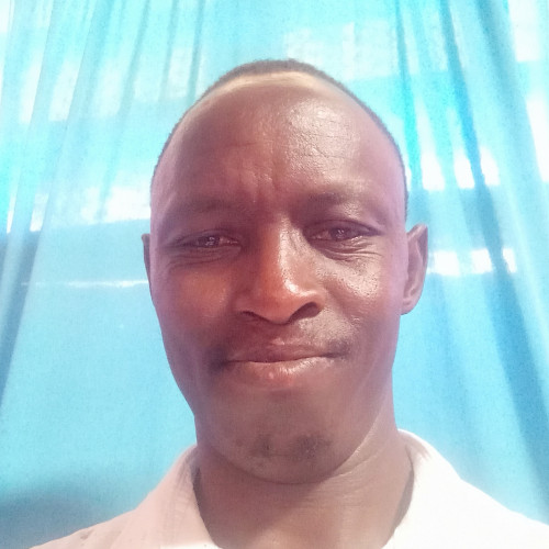 John N. profile photo