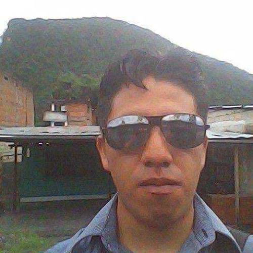 dany O. profile photo