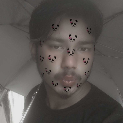 Raj N. profile photo