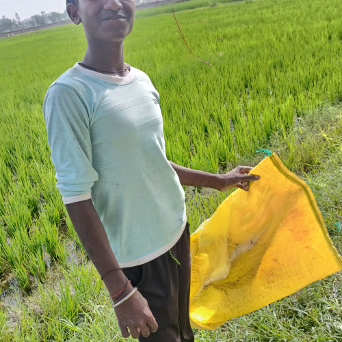 suraj c. profile photo