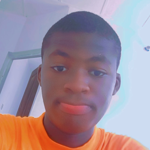 Ibrahim  I. profile photo