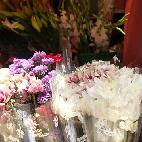 Azra M. profile photo