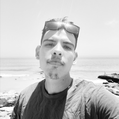 Hamza  B. profile photo