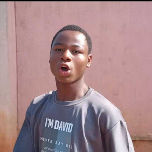chimaobi d.