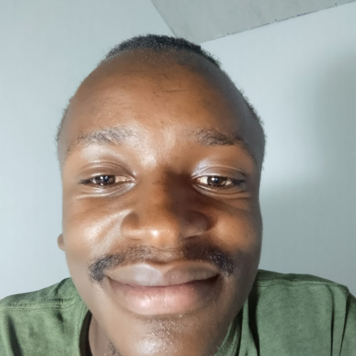 David M. profile photo