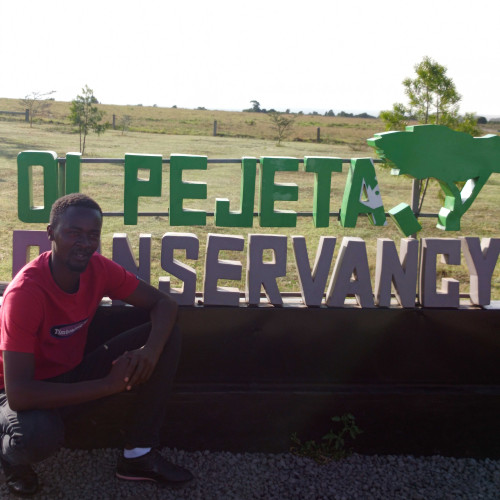 Paul T. profile photo