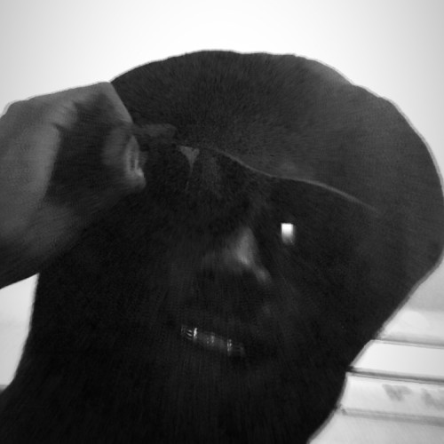 Damara D. profile photo