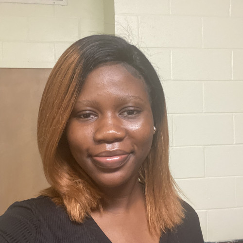 Oluwatomisin A. profile photo