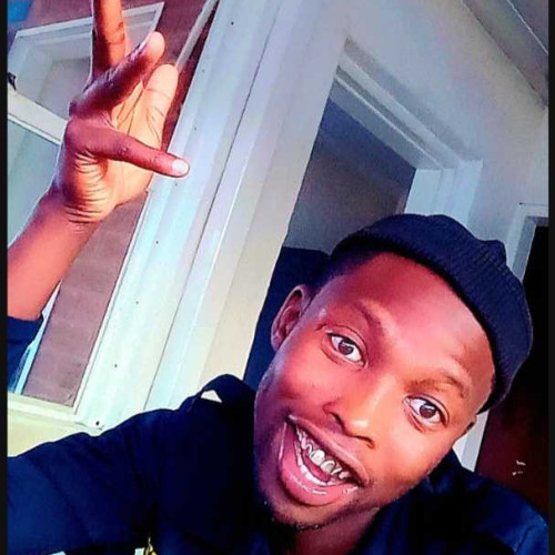 melton m. profile photo