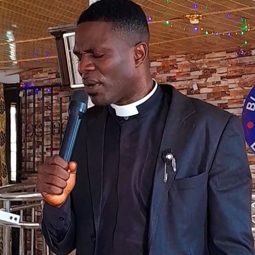 Obaloluwa  O. profile photo