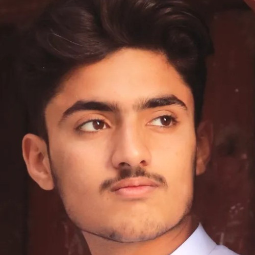 Shehram  K. profile photo