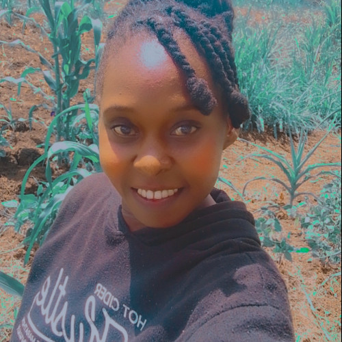 Cindy K. profile photo