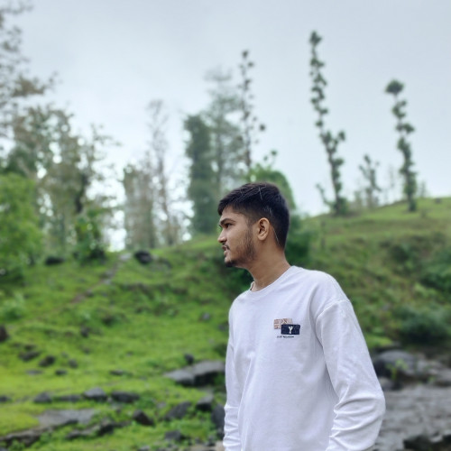Swapnil  P. profile photo