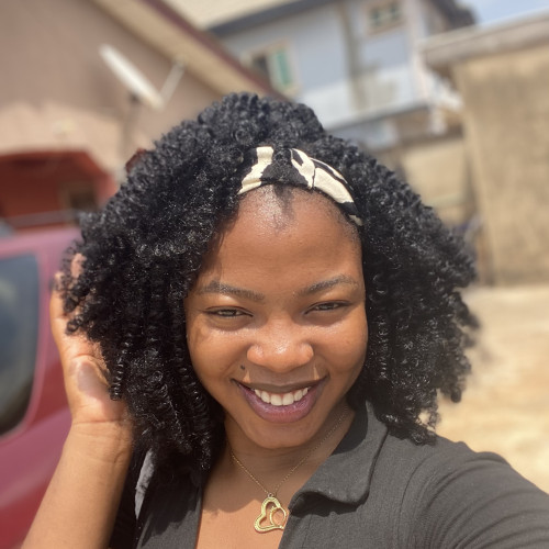 Ilesanmi P. profile photo