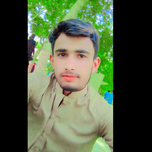 Ali H. profile photo