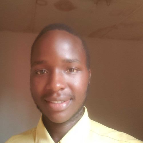 Daniel N. profile photo