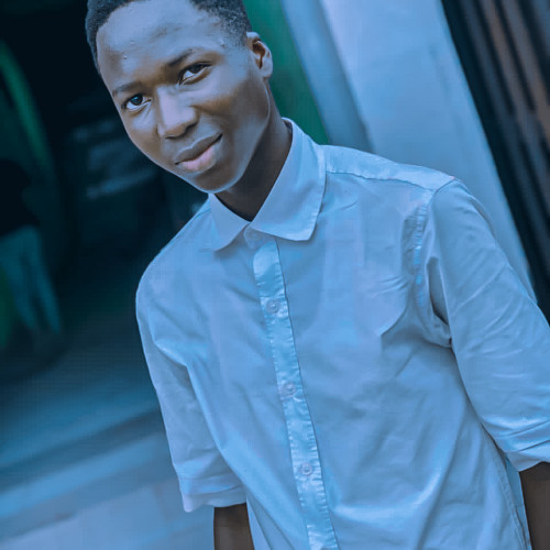 Oluwatomiwa  A. profile photo